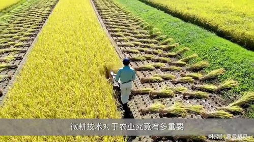 微耕技术 日本农业的高效实践与深远影响