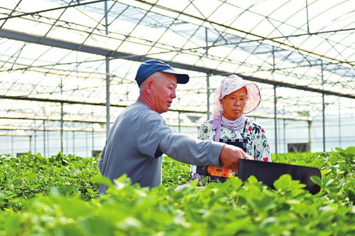 科技赋能农业 技术开发驱动产业新变革