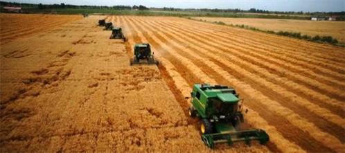 昌吉国家农业科技园区 探索现代农业改革创新之路