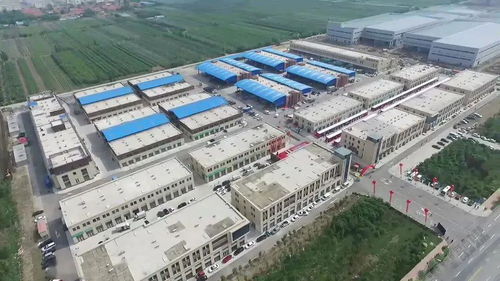 胶东经济圈农业一体化发展新篇章 供销合作与技术驱动并举