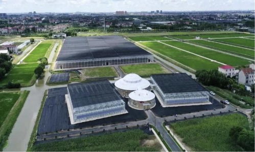 从农场到农厂 看这家企业如何用算法与农业技术开发振兴产业