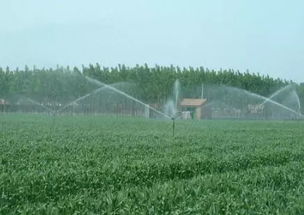 国家灌溉农业绿色发展联盟成立 技术开发引领农业可持续转型