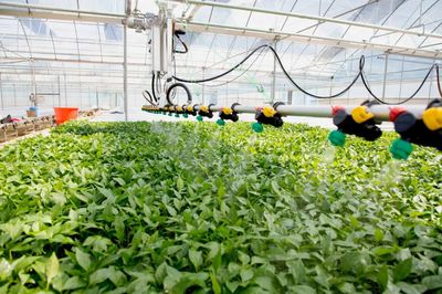 种菜也要“科技范”!万山种苗繁育实现“自动化”