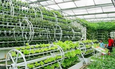 打造休闲农业项目的10大经验总结，让农庄越来越火！