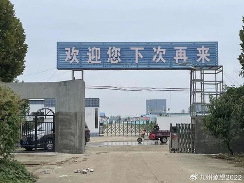 实探许家印家乡 村民自发守护功德碑，乡村振兴中的农业技术希望