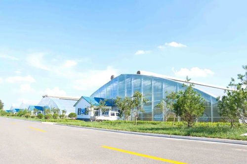 寿光农发集团现代农业高新技术试验示范基地 农业技术开发的真实沃土