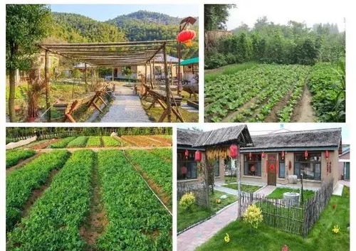 农业经营中的商标注册与农业技术开发策略