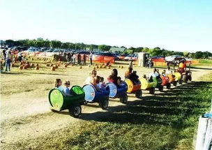 亲子农业的运营模式创新与农业技术开发路径探讨