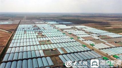 利津县汀罗镇 对虾产业托起‘致富’梦，农业技术开发引领乡村振兴