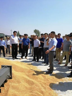 秸秆“神器”惊现“中原粮仓”！王金富 好戏还在后头