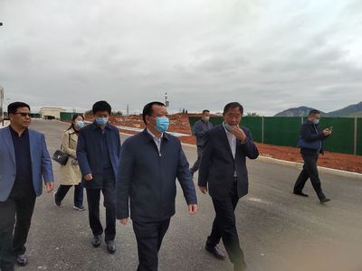 省农业厅深入阳新调研春耕备耕与特色产业发展，推动农业技术开发