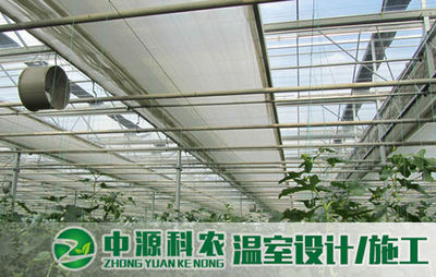 偃师无土栽培专业公司 引领农业技术开发新方向