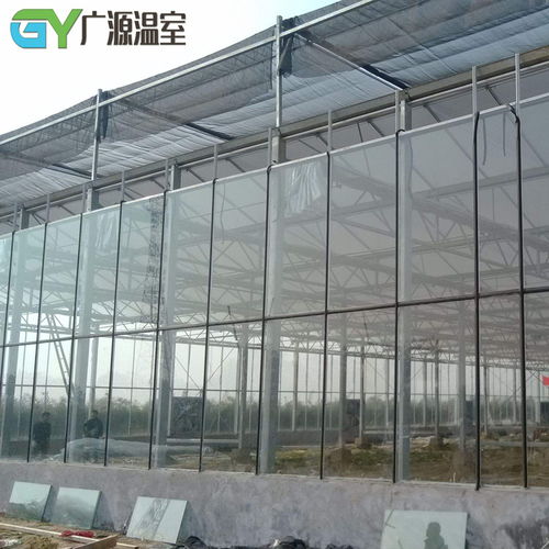 夏季温室大棚遮阳降温关键技术要点解析