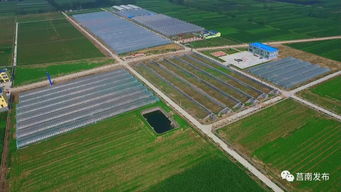 莒南县三向发力加快推动农业技术开发与转型升级