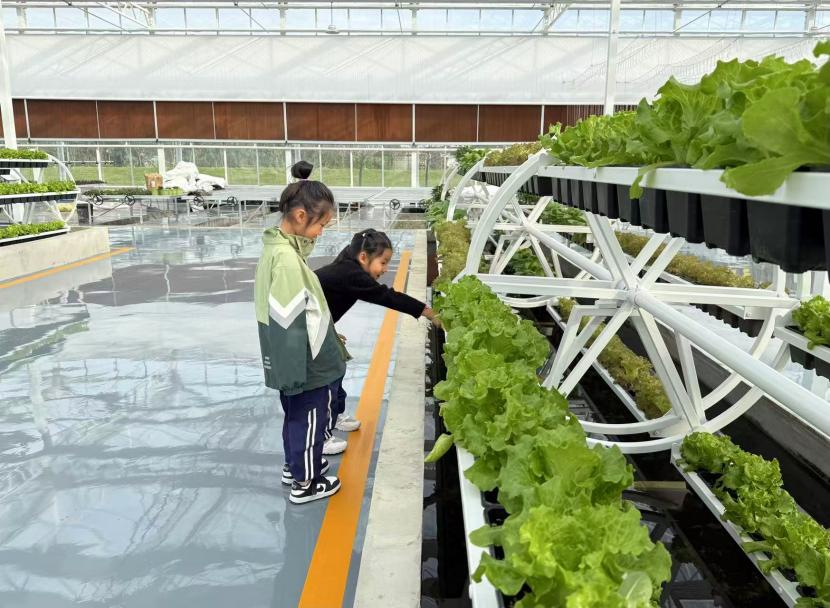 智慧农业“种”出新图景 家门口就业铺就振兴路——平桥区五里镇农业技术开发赋能乡村发展