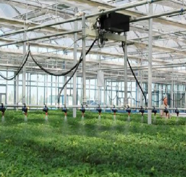 数字智慧技术扎根小山村 为农业技术开发注入新动能